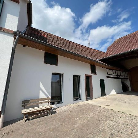 Restaurierter Altbau Mit Privatem Innenhof & Parkplatz Grossfischlingen Kültér fotó
